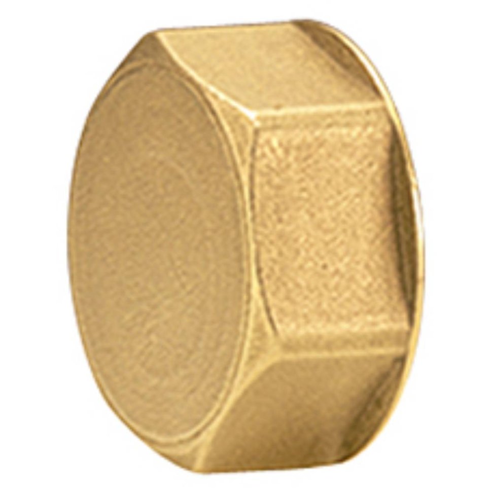 Пробка для коллектора Giacomini 1, R594Y004