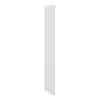 Дизайн-радиатор Royal Thermo Insignia VC2180 - 06 секц. RAL9016